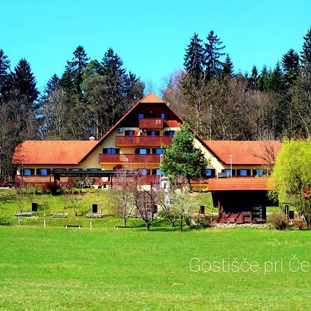 Guesthouse Pri Cebelici Lukovica pri Domžalah Buitenkant foto