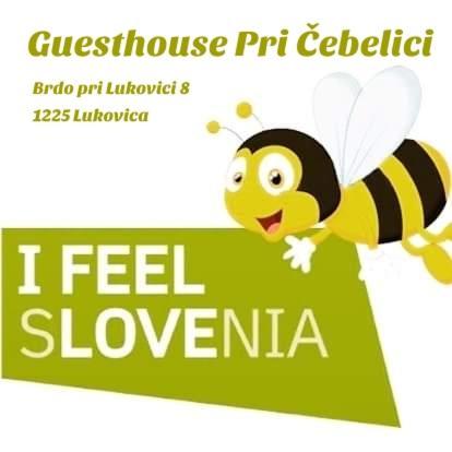 Guesthouse Pri Cebelici Lukovica pri Domžalah Buitenkant foto